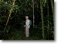 Cloud forest near Cock-of-the-Rock Lodge