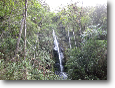 Cloud forestwaterfall