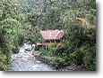 Manu CloudForest Lodge