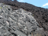 Pahoehoe Lava (foreground) A'a lave (background)