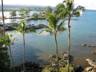From balcony, Hilo Hawaiian Hotel